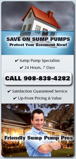 Sump Pumps Bernards